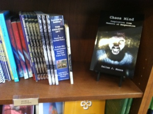 Beaverdale Books, Chaos Mind: Inspiration from Moments of Desperation, poetry